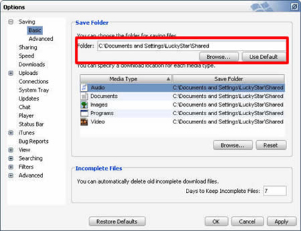 Set the default downloaded directory